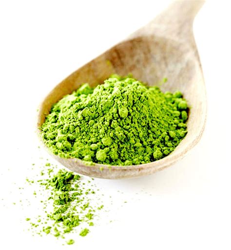 Matcha Onlyfans Leak