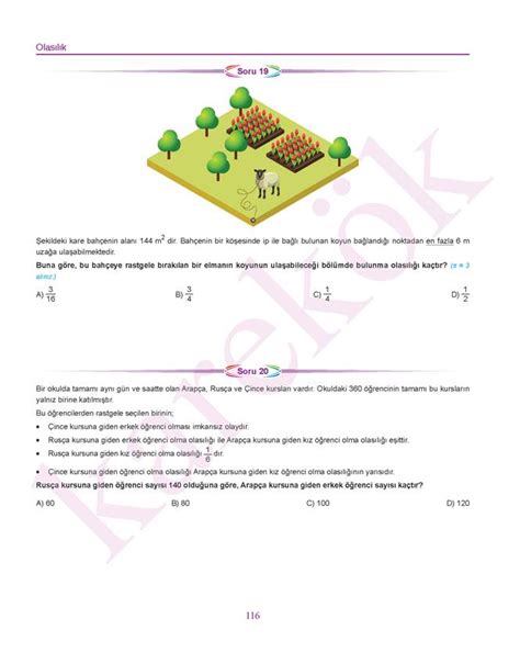 Matematik yeni nesil sorular 8 sınıf pdf