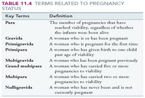 Maternity quizzes Flashcards Quizlet