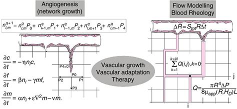 Mathematical Modelling of Angiogenesis IML