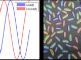 Matlab patchline. .  Patches are useful for modeling real-world objects such as airp...