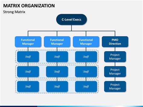Matrix Organization PowerPoint