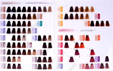 Matrix SoColor Beauty Color Chart