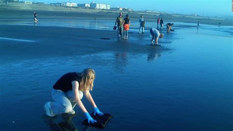 Mats made from human hair are cleaning up oil spills CNN