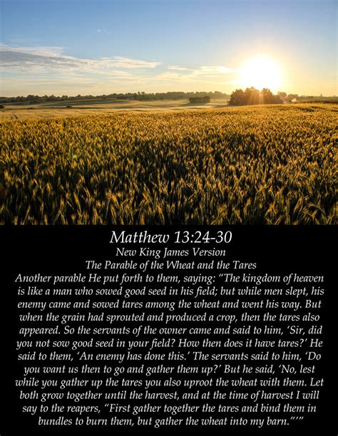 Matthew Henry Concise Matthew 13:1 - 58. 13:1 - 23 Jesus entered into a boat that he might be the less pressed, and be the better heard by the peo... 13:24 - 30, 36-43 This parable represents the present and future state of the gospel church; Christ's car... 13:31 - 35. 