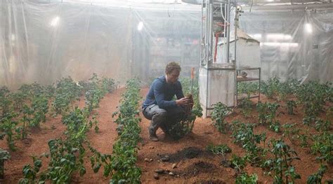 Matt Damon Might Have Been Right About Potatoes on Mars