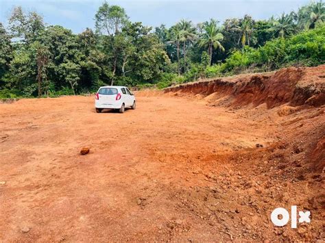 Mattannur - Lands & Plots for sale in Kerala OLX