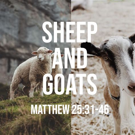 Matthew 25:31-46 – The Sheep and the Goats