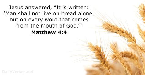 Matthew 4 - Course Bible