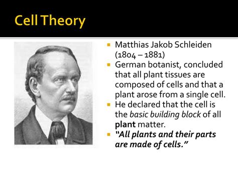 Matthias schleiden contribution to cell theory