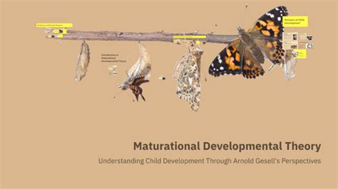 Maturational-developmental theory