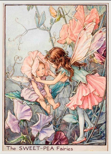 Maude Frome on Twitter: "RT @frome_maude: Some flower fairies …