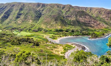 Maui Land & Pineapple: Q3 Earnings Snapshot
