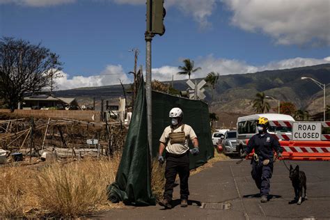 Maui confronts the challenge of finding hundreds of missing people after the deadly wildfires