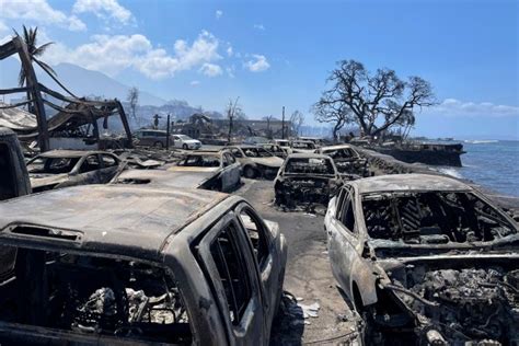 Maui wildfire death toll climbs to 53 [+gallery]