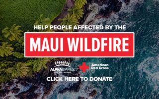 Maui wildfire relief: Is it better to donate now or wait?