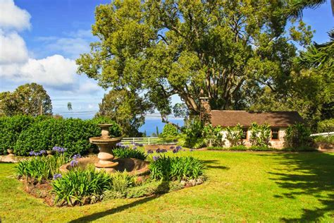 Maui winery. Maui Wine, Kula, Hawaii. 10,405 likes · 105 talking about this · 26,941 were here. MauiWine, open since 1974, is located in Kula, Maui. Known for estate-grown wines, traditional metho 