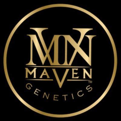 Maven genetics. Maven was founded with one goal in mind: to breed and cultivate rare and exotic indoor cannabis of the highest caliber. As a company, they are driven by an absolute passion for the flower and ... 