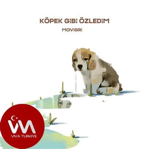 Mavi Gri Köpek Gibi Özledim Mp3 İndir Dinle Mp3 İndir Dur.