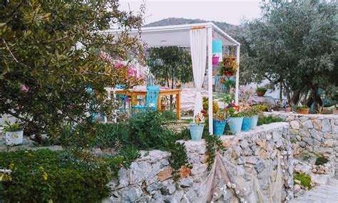 Mavi Kelebek Datça #bahçe #begonvil #çiçek #datca Instagram. 