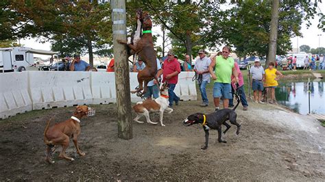 here is a pic of our display at Max's water dog races. 