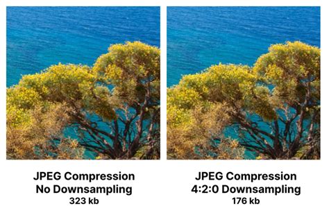 Max Jpeg Size: How to enable HEIF Max/JPEG Max photos on iPhone Tom's Guide image 1