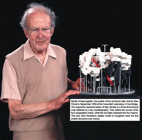 Max perutz hemoglobin