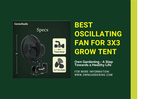 Maximize Your Grow Tent's Yield with the Power of Oscillating Fans