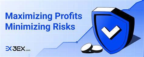 Maximizing Profits and Minimizing Risk: The Critical Role of