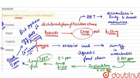 Maximum DDT is present in birds feeding on - Toppr