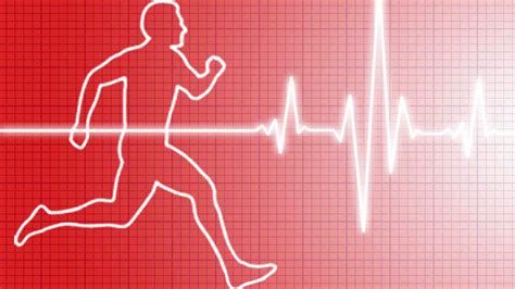 Maximum Heart Rate - Find Your REAL Maximum …