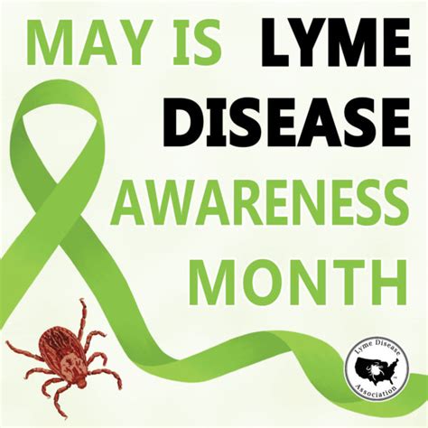 May is Lyme Disease Awareness Month - Maine DOE Newsroom