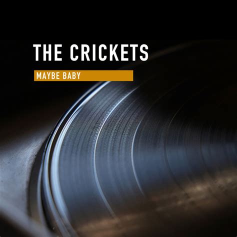 Maybe Baby - Album by The Crickets Spotify