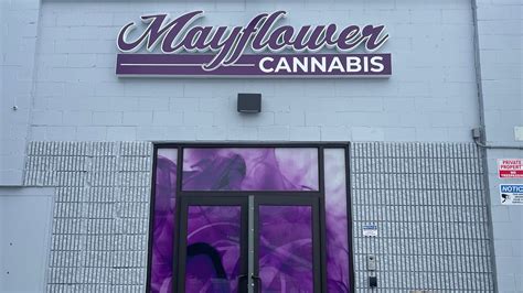 Mayflower Medicinals, Boston, https://mayflowermass.com/. Devine, South Egremont, https://devineberkshires.com/. Smyth Cannabis Co. Lowell, https:// .... 