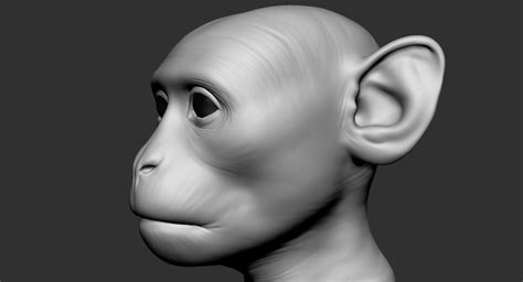 Maymun 3D Modeller indir Free3D.