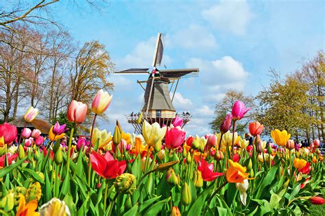 Mayor of Netherlands sister city visits Tulip Festival