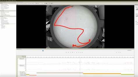 Mazes for video tracking - Behavioral testing Noldus