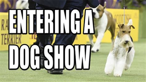 The MBF Dog Show Schedule is finally here, promising a 