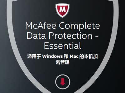 McAfee Complete Data Protection vs Microsoft BitLocker