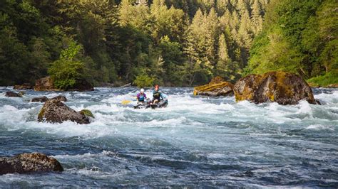 McKenzie River Fishing Paradise Jim Martin Guide …