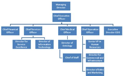 McLaren Health Care Management Team Org Chart