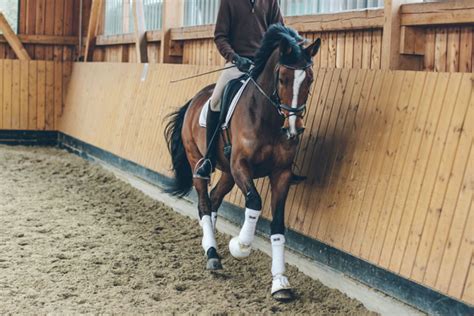 McLean Reitsport Home Dressage Horses Training & Sales