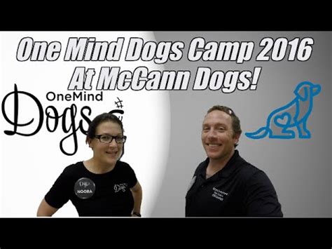 Mccann dog training. place Ontario, Canada. star OneMind Dogs Coach. Kayl has been training dogs and competing in agility for 25+ years. She has been coaching agility since 2000. According to Kayl, she is an aggressive handler in the sense that she likes to run and be ahead of the dogs. “My dog's strength is strong obstacle skill and independent understanding of ... 