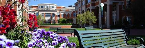 Mcgill minors for science students.  Undergraduate programs The Interdisciplinary L...