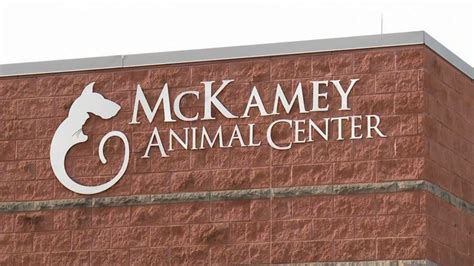 Mckamey animal center. website 