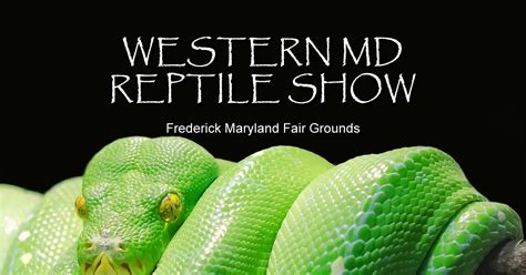 All Maryland Reptile Show April 6, 2024 Havre De Grace