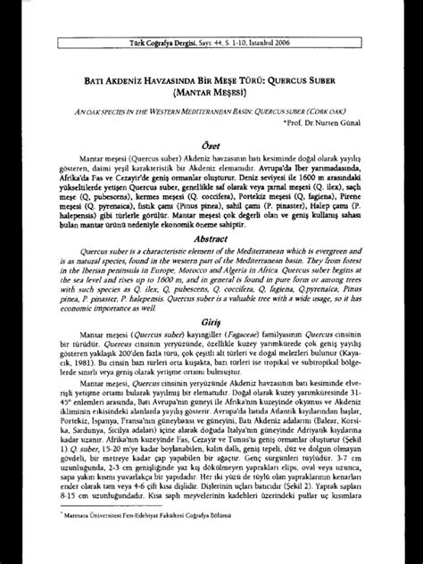 Meşe palamutu PDF Scribd.