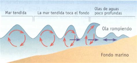 Métodos prácticos para la observación y pronóstico de olas oceánicas mediante su espectro y estadística. - Parrocchia di s. bernardo abate in castel rozzone.
