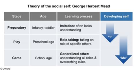 Mead theory of identity development mcat. This article highlights the role played by the body in the work of George Herbert Mead. For Mead, the social emergence of mind depends on human physiology. This is revealed through a detailed exploration of three thematic domains in his work: the organism–environment dyad, perception, and the manipulatory stage of the act. 