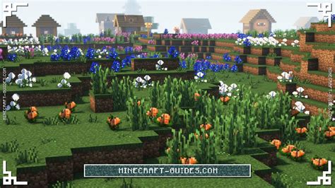 Meadow – Minecraft Wiki